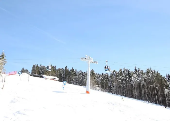 公寓 In Directly On The Slopes *